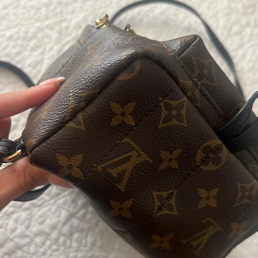Louis Vuitton Palm Springs Mini